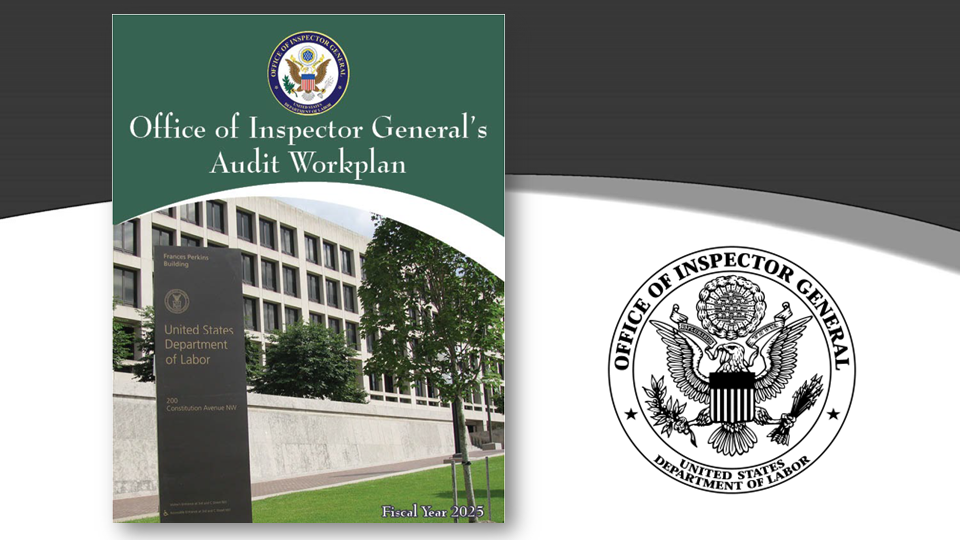 OIG Fiscal Year 2025 Audit Workplan